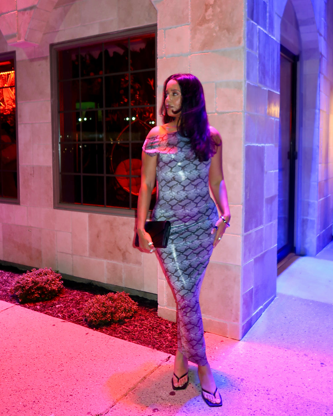 Snake Print Dress