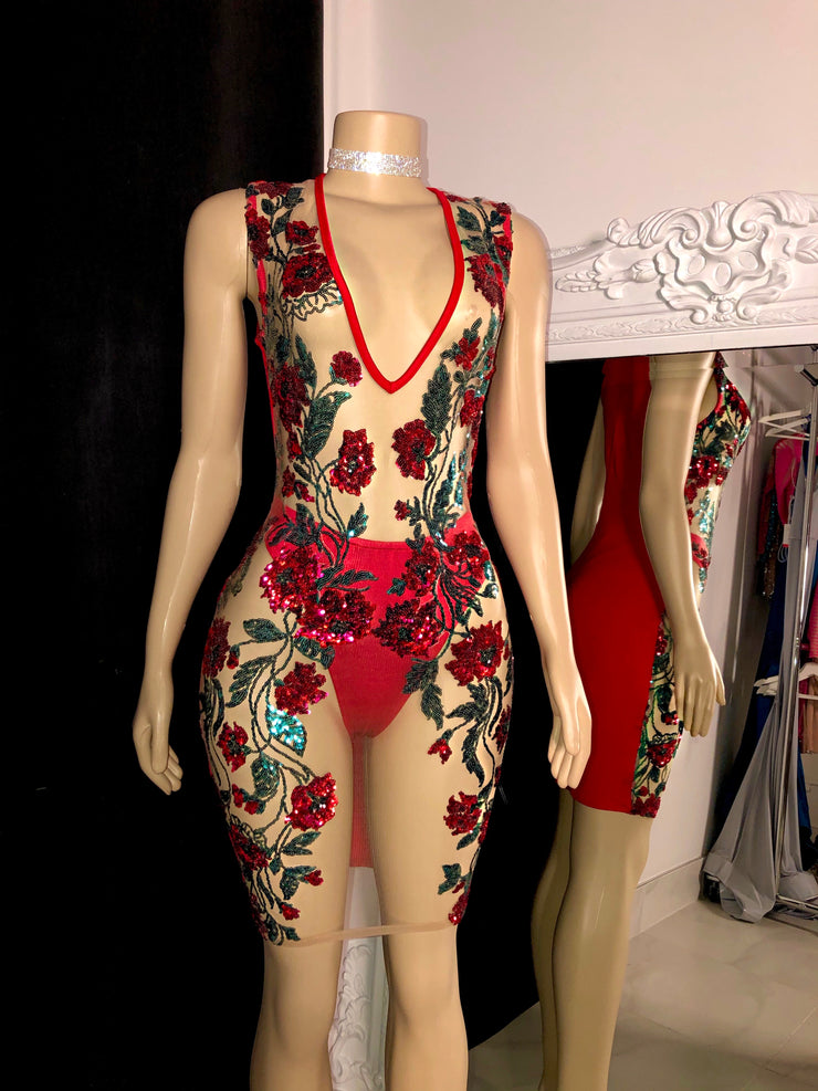 The NICOLE Sequin Dress