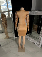 The KELSI Sequins Dress