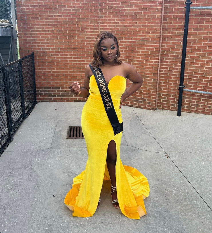 The CHELSEA Velvet Gown