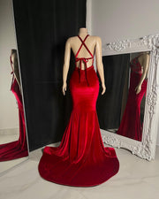 The VENICE Velvet Gown